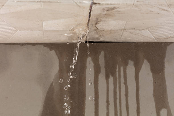 Professional Burst Pipe Cleanup technician working in Chestnut Mound, TN